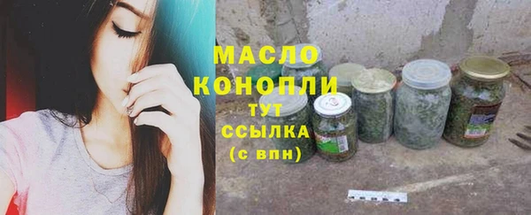 ECSTASY Горняк