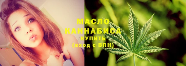 ECSTASY Горняк
