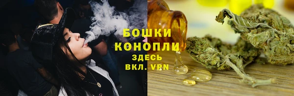 ECSTASY Горняк