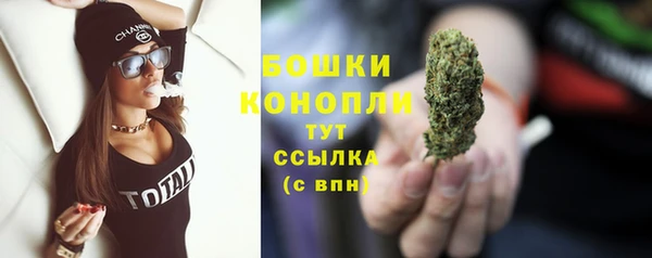 ECSTASY Горняк