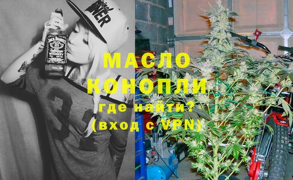 ECSTASY Горняк