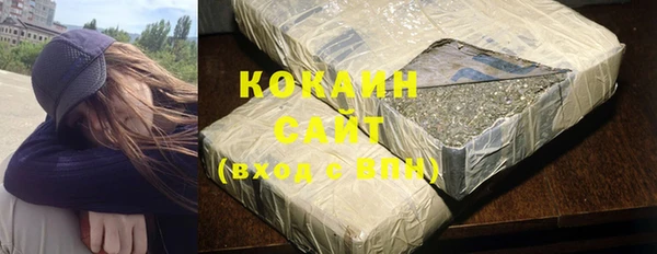 ECSTASY Горняк