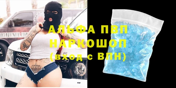 ECSTASY Горняк