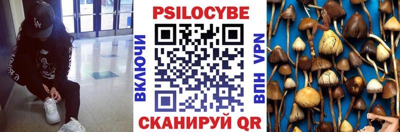 Купить где  Михайлов  Галлюциногенные грибы мицелий 